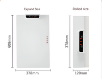 White US plug