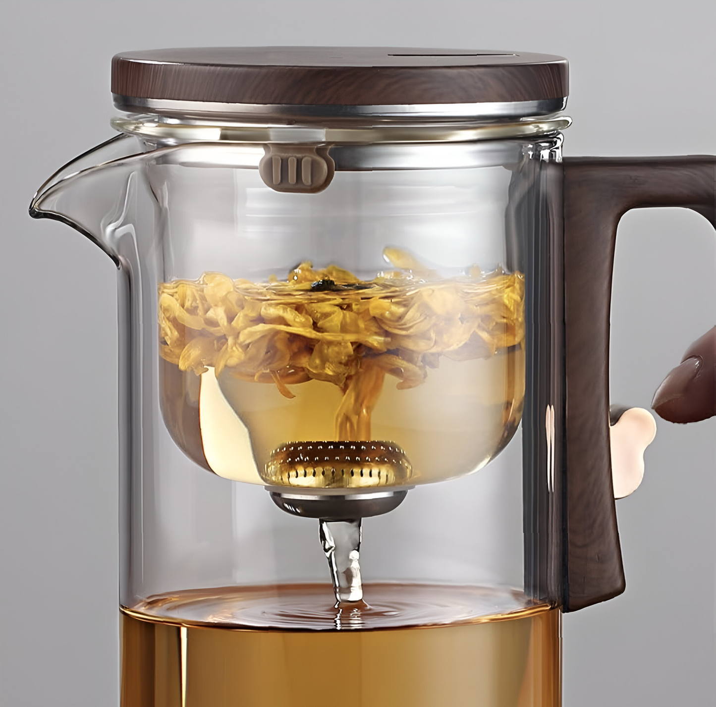 BrewGlass – Tea Pot with Filter