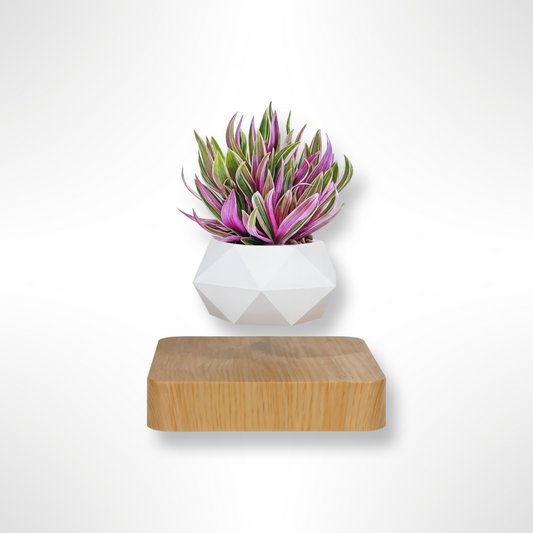 HoverBloom – Magnetic Floating Plant Pot